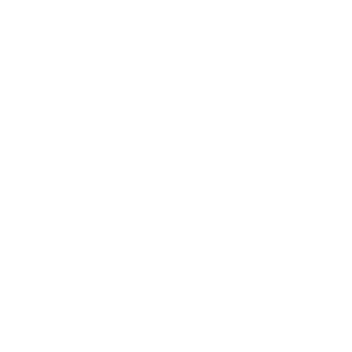 icon-hologram Holograms